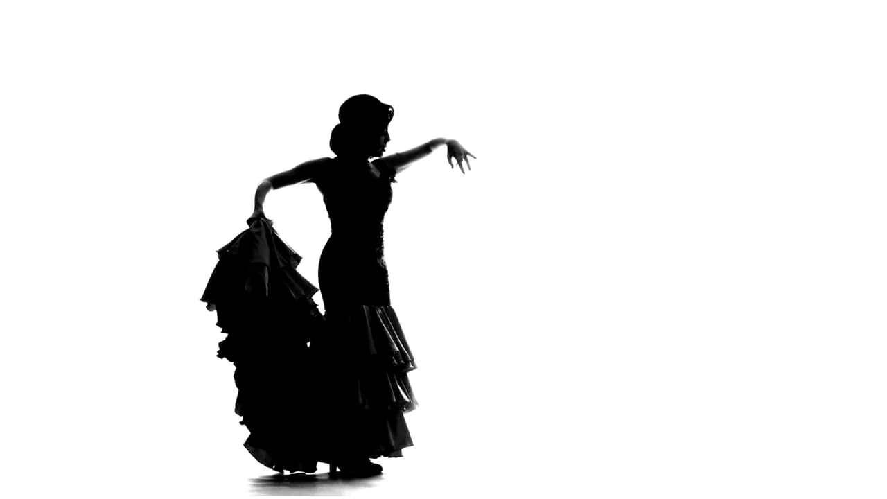 Escuelas de flamenco: silueta de una bailaora bailando